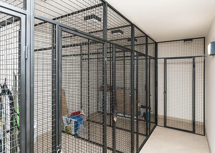 Simba Klinovec By Mountain Ways *