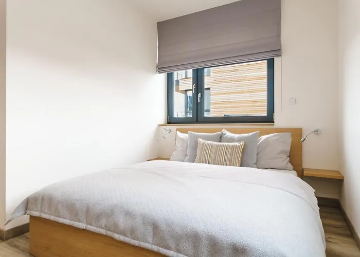 Simba Klinovec By Mountain Ways Apartment Loučná pod Klínovcem